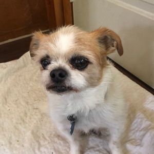 Meet your Posher, Lori